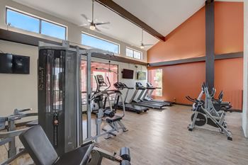 A gym with a variety of equipment including treadmills, weights, and a television